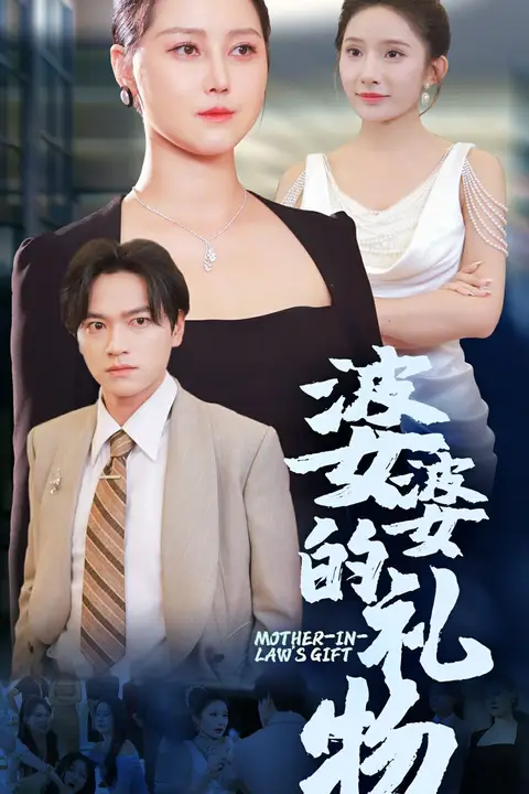 《婆婆的礼物》封面