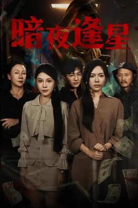 《暗夜逢星》封面