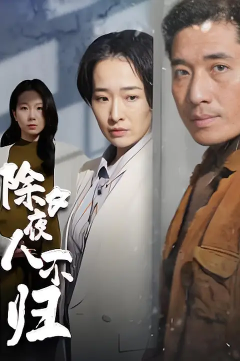 《除夕夜人不归》封面