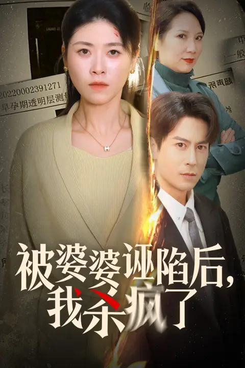 《被婆婆诬陷后我杀疯了》封面