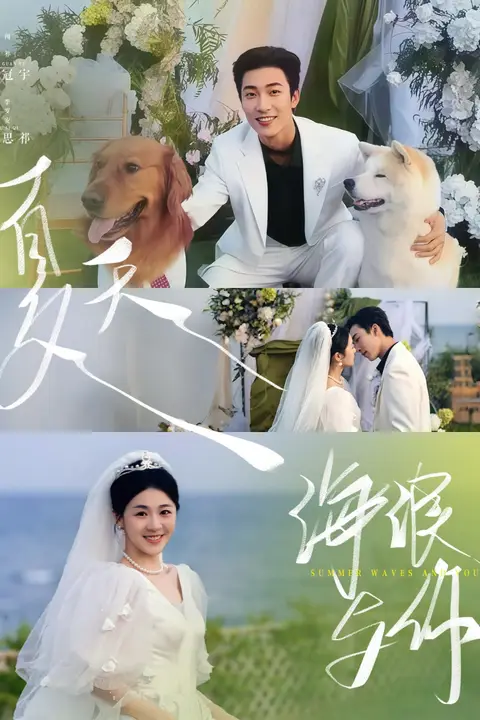 《夏天,海浪与你》封面