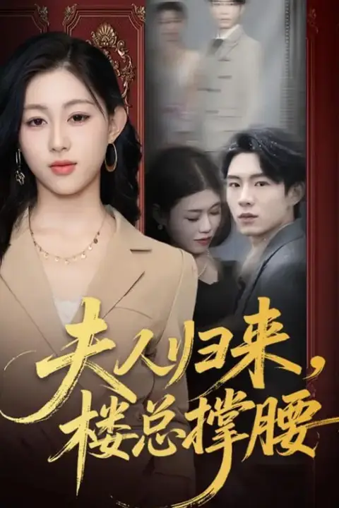 《夫人归来,楼总撑腰》封面