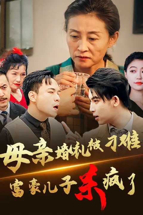《母亲婚礼被刁难首富儿子杀疯了》封面