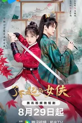 《了不起的女侠》封面