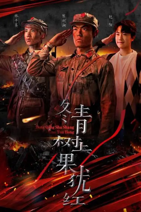 《冬青树上果犹红》封面