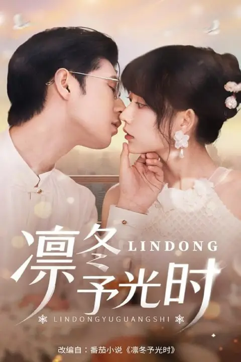 《凛冬予光时》封面