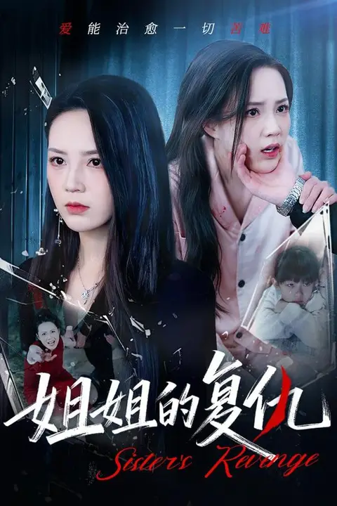 《姐姐的复仇》封面