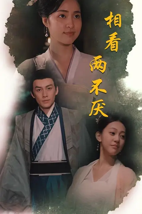 《相看两不厌(这个王妃不好惹)》封面