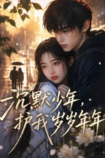 《沉默少年,护我岁岁年年》封面