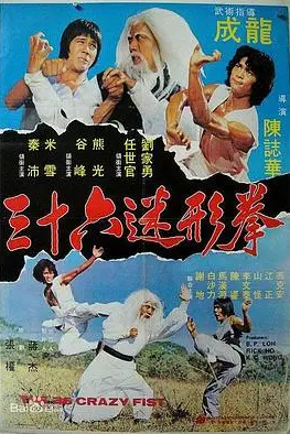 《三十六迷形拳》封面