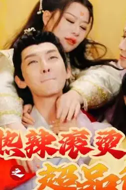《热辣滚烫之超品御医》封面