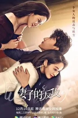 《妻子的反攻》封面
