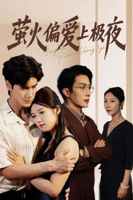 《萤火偏爱上极夜》封面