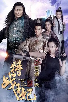 《特战王妃2圣剑之战》封面