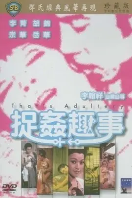 《捉奸趣事》封面