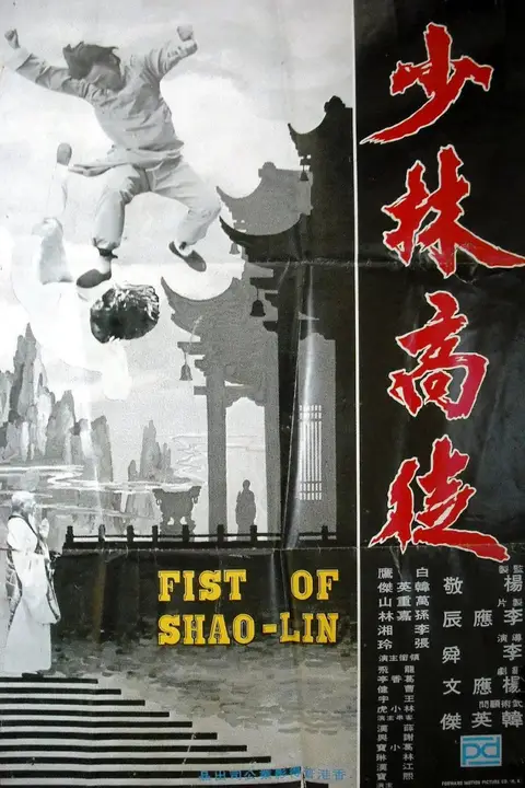 《少林高徒》封面