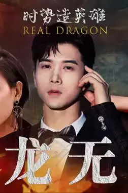 《真龙无双》封面