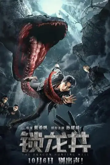 《锁龙井》封面