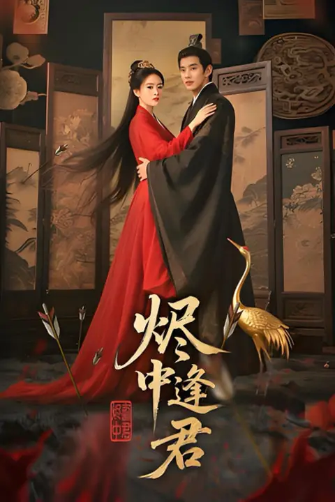 《烬中逢君》封面