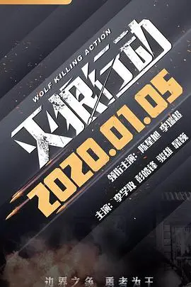 《灭狼行动》封面