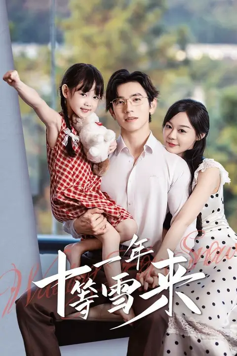 《十一年等雪》封面