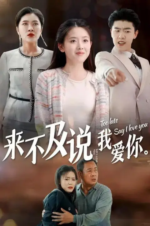 《来不及说我爱你》封面