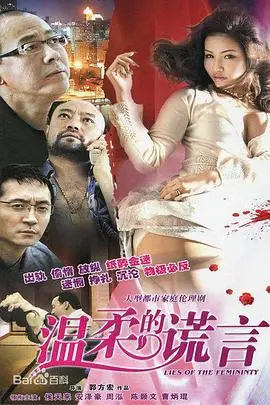 《温柔的谎言》封面