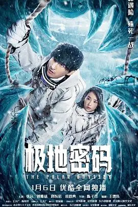 《极地密码》封面