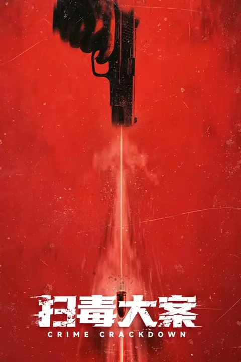 《扫毒大案》封面