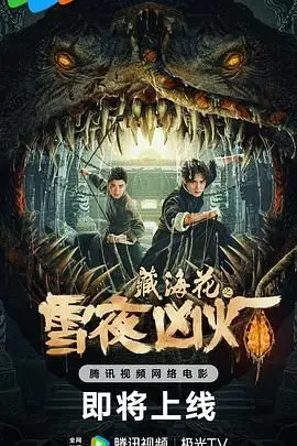《藏海花之雪夜凶灯》封面