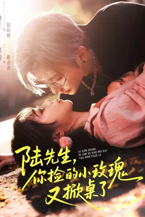 《陆先生,你捡的小玫瑰又掀桌了》封面