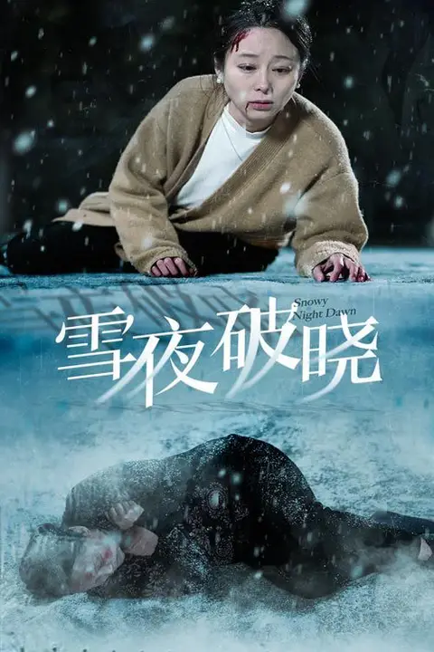 《雪夜破晓》封面