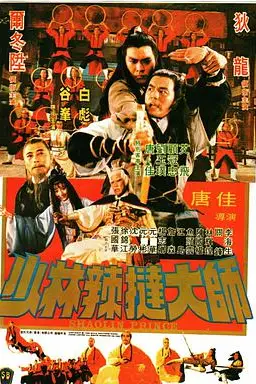 《少林传人》封面