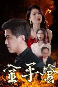 《金手套》封面