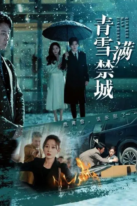 《青雪满禁城》封面