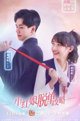 《小红娘脱单攻略》封面