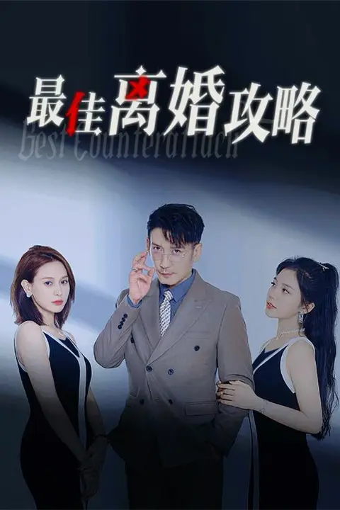 《最佳离婚攻略》封面