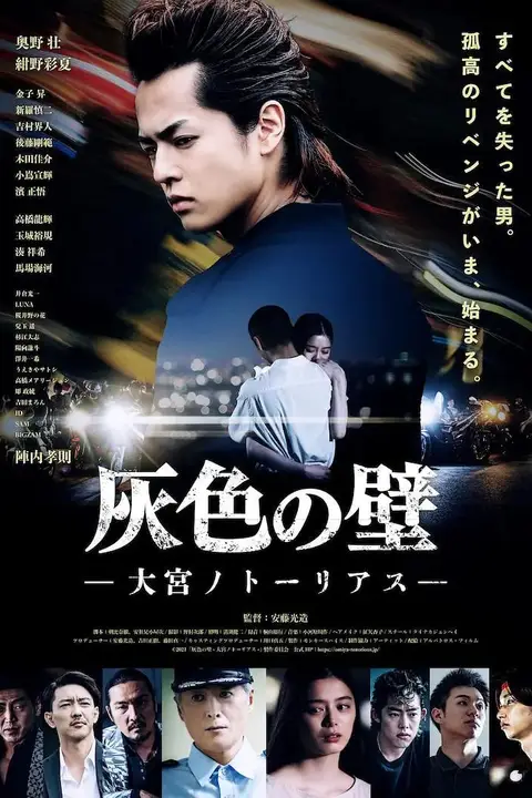 《灰色之壁》封面