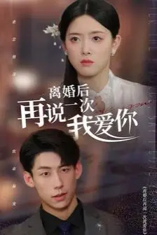 《离婚后再说一次我爱你》封面