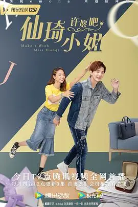 《仙琦小姐许愿吧》封面