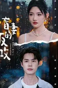 《盲妻的反攻》封面