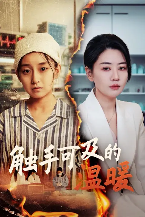 《触手可及的温暖》封面