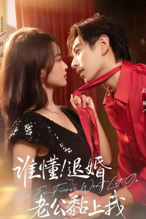 《谁懂!退婚老公黏上我》封面