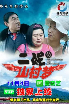 《二妮的山村梦》封面