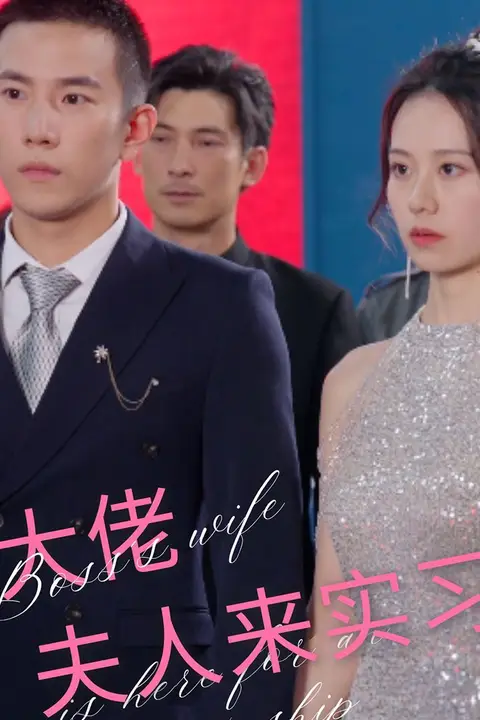 《大佬夫人来实习》封面