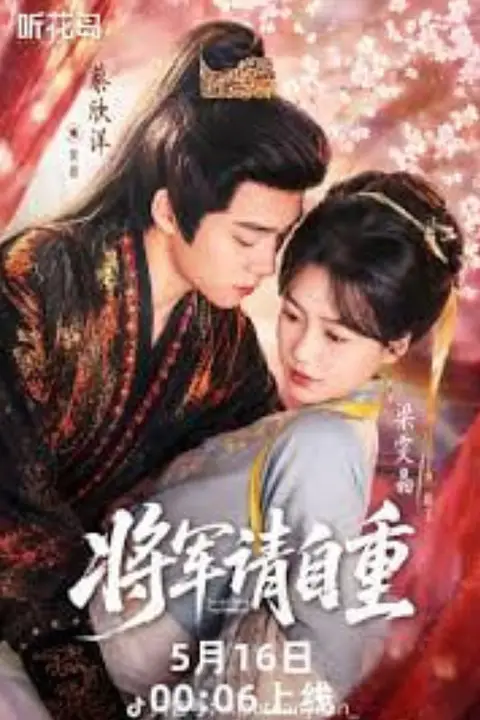 《将军请自重》封面