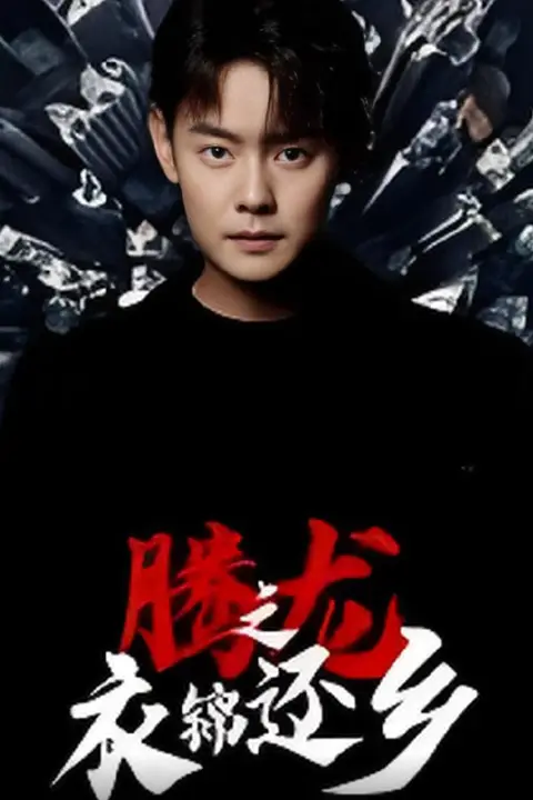 《腾龙之衣锦还乡》封面