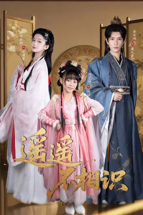 《遥遥不相识》封面