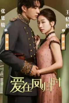 《爱在凤归时》封面