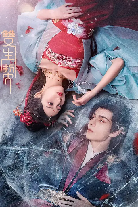 《双生契》封面